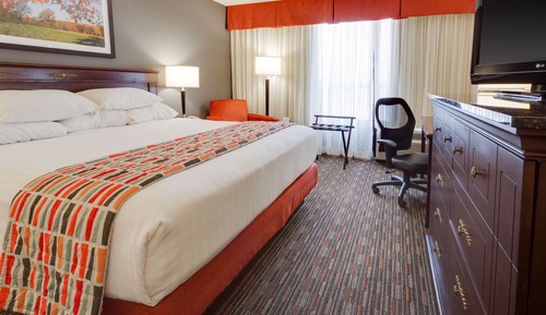 Deluxe Room, 1 King Bed, Accessible, Refrigerator & Microwave (Tub)