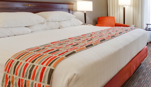 Deluxe Room, 1 King Bed, Refrigerator & Microwave