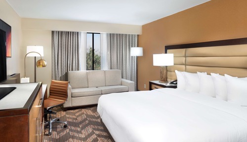 Room, 1 King Bed, Accessible, Non Smoking (Roll-in Shower)