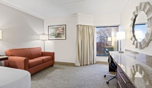 Executive Room, 1 King Bed, Mountain View