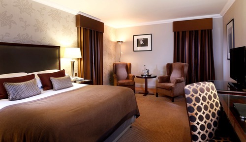 Standard Room, 1 King Bed (Standard King)