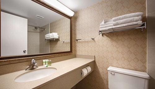 Standard Room, 1 Queen Bed, Non Smoking (1st Floor;Pet Friendly;with Sofabed)