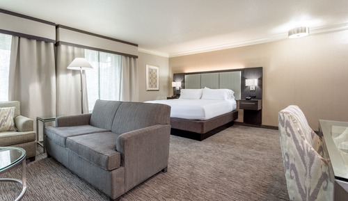 Suite, 1 King Bed (Top Floor)