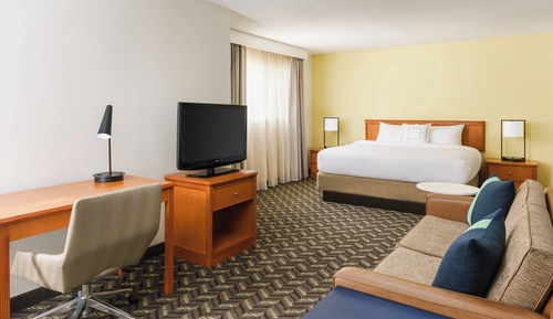 Studio, 1 King Bed with Sofa bed