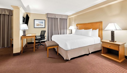 Suite, 1 King Bed, Non Smoking, Fireplace (with Sofabed)