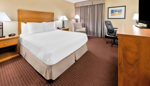 Standard Room, 1 Queen Bed, Accessible, Refrigerator