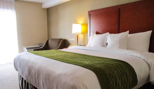 Room, 1 King Bed, Non Smoking
