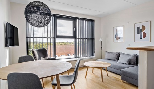 Standard Room, 1 King Bed, Non Smoking, Kitchen (with Sofabed)