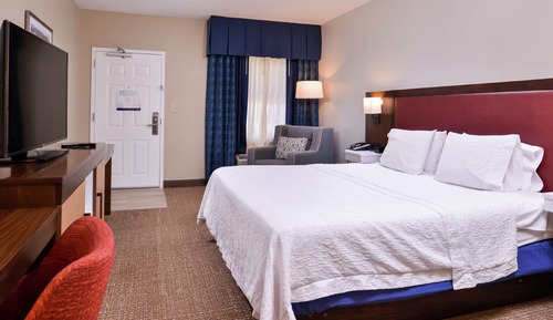 Room, 1 King Bed, Non Smoking
