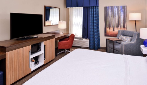 Room, 1 King Bed, Accessible, Bathtub