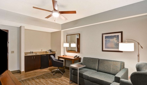 Suite, 1 King Bed with Sofa bed, Non Smoking