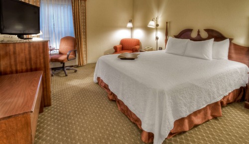 Room, 1 King Bed, Accessible, Non Smoking