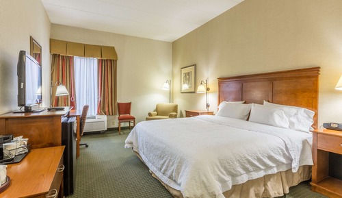 Room, 1 King Bed, Accessible, Non Smoking