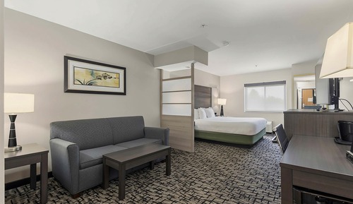 Suite, 1 King Bed, Non Smoking, Refrigerator & Microwave (Shower Only)
