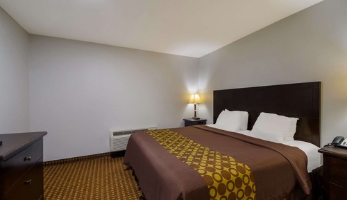 Basic Suite, Non Smoking (1 King Bed with 2 Person Sofa bed)