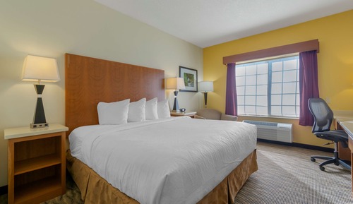 Deluxe Room, 1 King Bed, Non Smoking, Refrigerator & Microwave