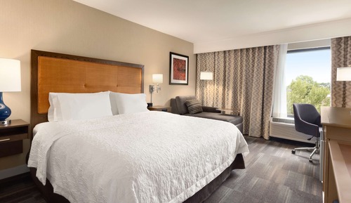 Room, 1 King Bed, Accessible, Bathtub