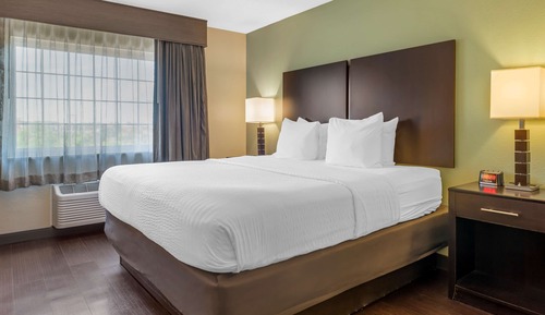 Standard Room, 1 King Bed, Non Smoking, Refrigerator & Microwave