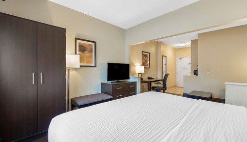Suite, 1 King Bed, Non Smoking, Refrigerator & Microwave (with Sofabed)