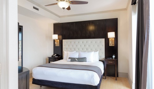 Room, 1 King Bed, City View (Mobility Accessible, Tub)