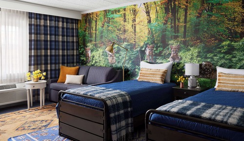 Family Room, 1 King Bed