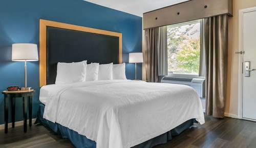 Standard Room, 1 King Bed, Non Smoking, Refrigerator (Interior room access)