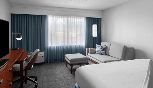Room, 1 King Bed with Sofa bed (Mobility/Hearing Access, Roll-In Shwr)