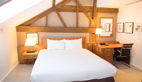 Superior Room, 1 King Bed, Non Smoking