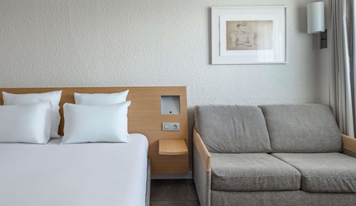 Classic Room, 1 Double Bed with Sofa bed