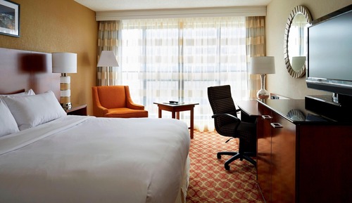 Room, 1 King Bed