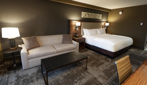 Room, 1 King Bed with Sofa bed, Accessible (Hearing)