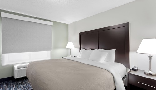 Standard Room, 1 King Bed with Sofa bed, Accessible, Non Smoking (Roll-In Shower)
