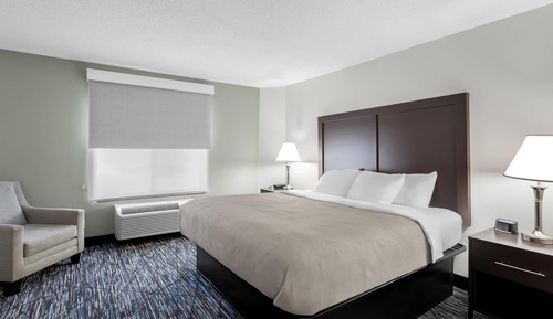 Room, 1 King Bed, Non Smoking