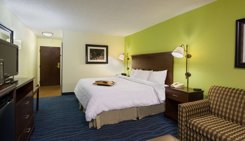 Room, 1 King Bed, Accessible (Roll-in Shower)