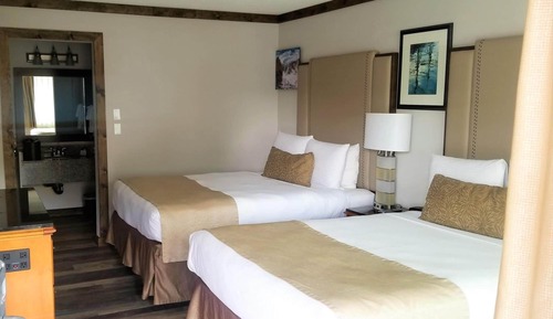 Studio, 2 Double Beds