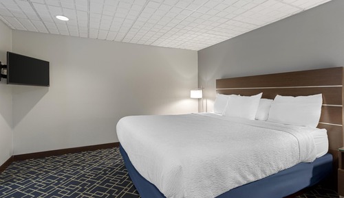 Suite, 1 King Bed, Non Smoking, Refrigerator & Microwave (with Sofabed)