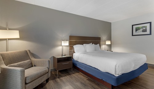 Standard Room, 1 King Bed, Non Smoking, Refrigerator & Microwave (Pet Friendly)