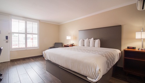 Junior Room, 1 King Bed