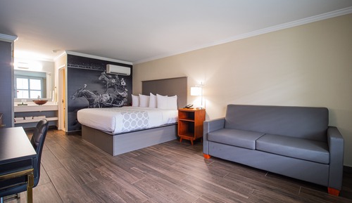 Standard Room, 1 King Bed