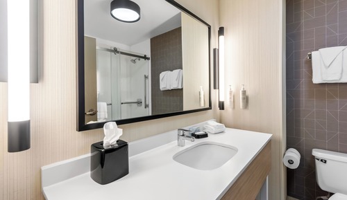 Room, 1 King Bed with Sofa bed