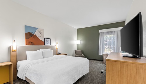 Room, 1 King Bed, Accessible, Bathtub (Mobility & Hearing)