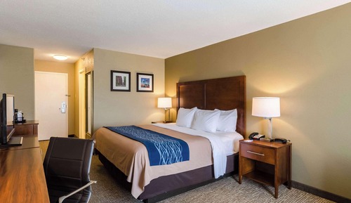 Standard Room, 1 King Bed, Non Smoking