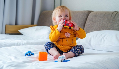 Classic Room, 1 Double Bed with Sofa bed