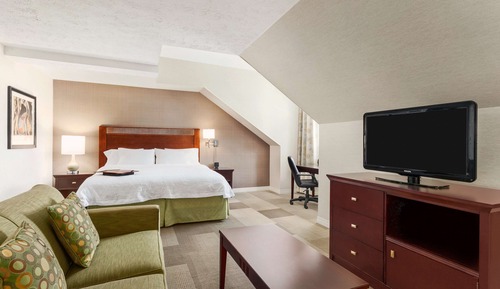 Suite, 1 King Bed (Parlor)