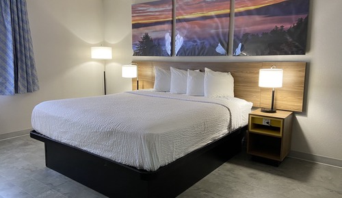 Room, 1 King Bed, Non Smoking (Efficiency)