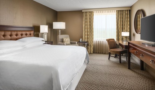 Suite, 1 King Bed with Sofa bed