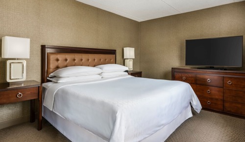 Club Suite, 1 King Bed with Sofa bed