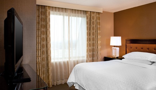 Room, 1 King Bed (Mobility Accessible, Roll-In Shower)