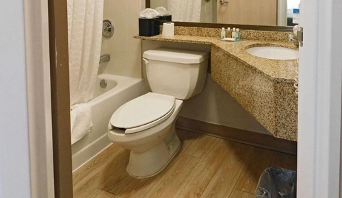 Room, 1 King Bed, Non Smoking