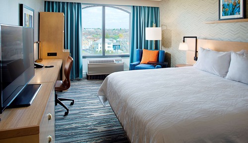 Room, 1 King Bed, Accessible, Non Smoking (rollin shower)